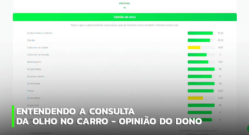 Entendendo a consulta da Olho no Carro – Opinião do dono